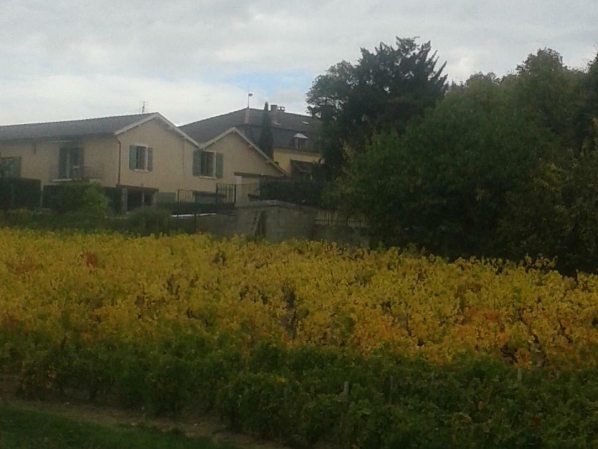 La Maison Des Vignes Charentay Екстериор снимка