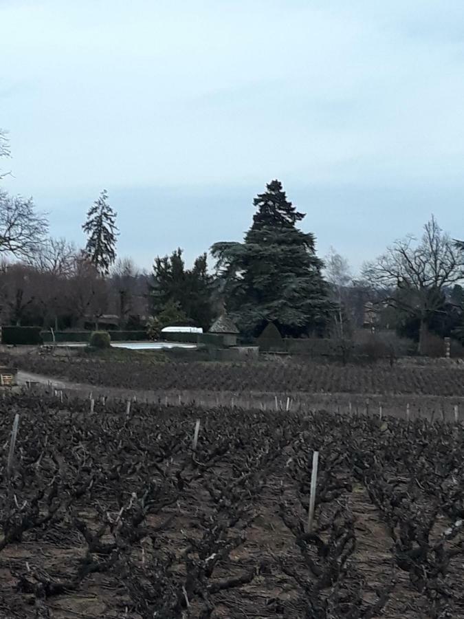 La Maison Des Vignes Charentay Екстериор снимка