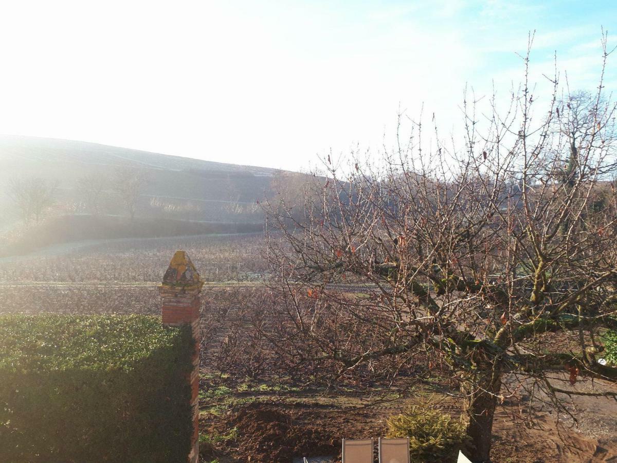 La Maison Des Vignes Charentay Екстериор снимка